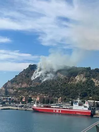 Un incendi a Montjuïc provoca una gran columna de fum visible des de diferents punts de Barcelona