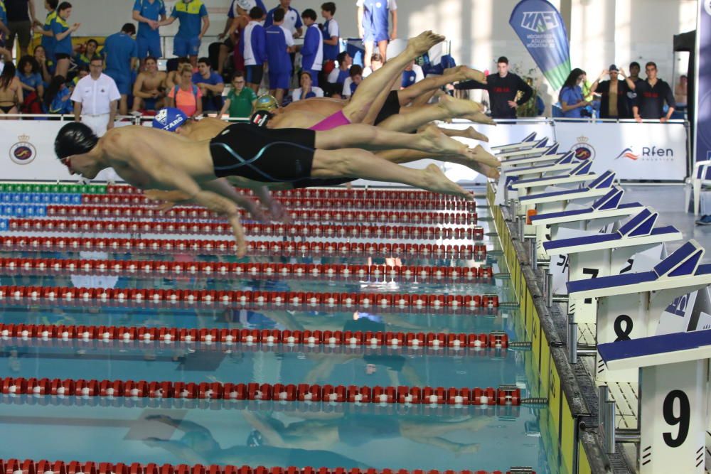 Campeonato de España de Natación.