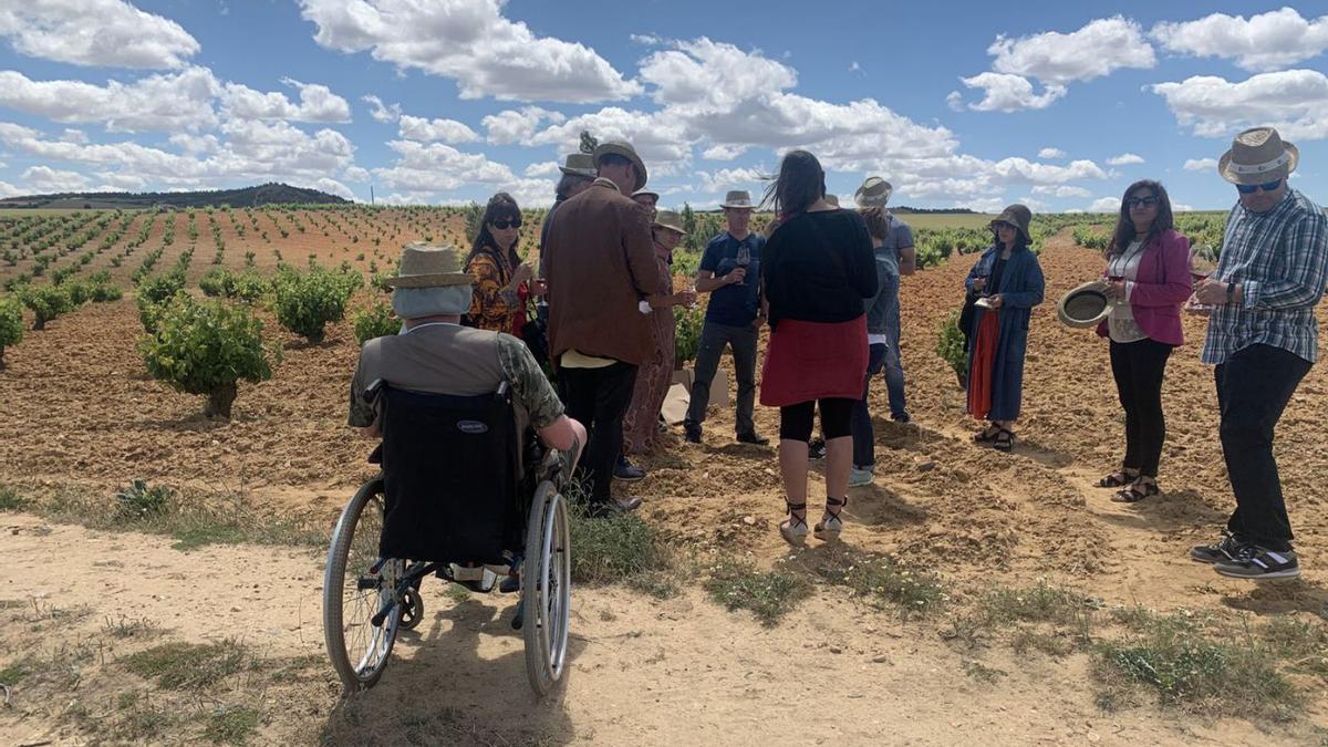 Turoperadores en un viñedo de Zamora en una visita concertada a través de Ruta del Vino de Zamora. | Cedida