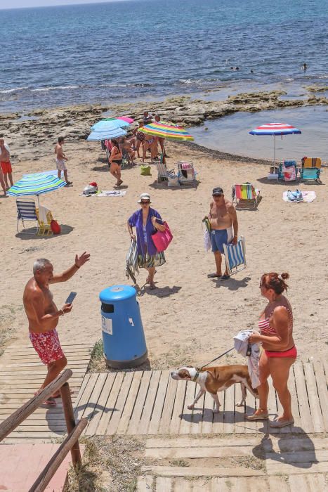 Los bañistas aseguran que no están en contra de la medida pero reclaman que se zonifique la playa para usuarios con perros y sin perros