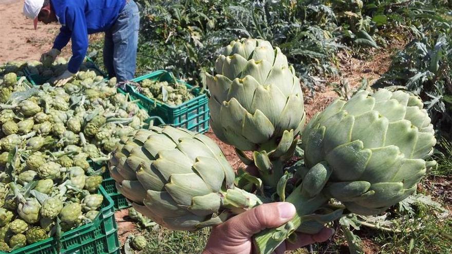 Agricultura, turismo y cerámica son los generadores de trabajo en Castellón