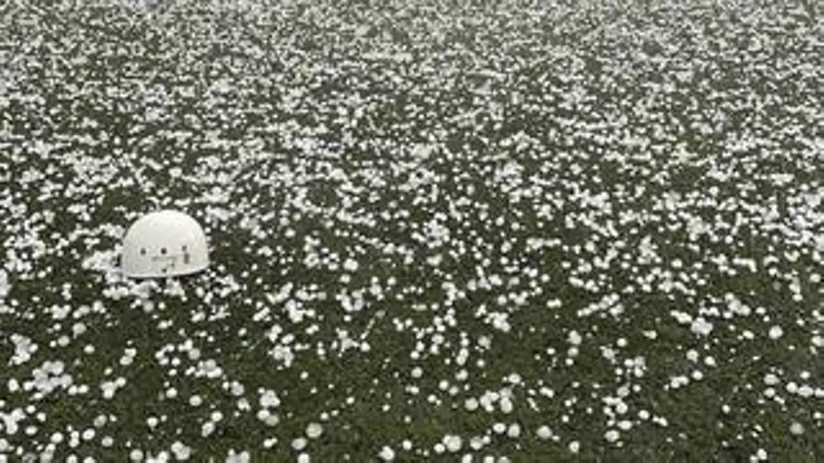 El granizo daña miles de hectáreas de cultivo en la Ribera