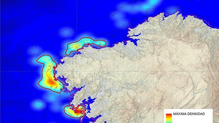 El Gobierno crea el primer mapa que ilustra los ataques de orcas a barcos en Galicia tras registrar el triple de casos en 2025