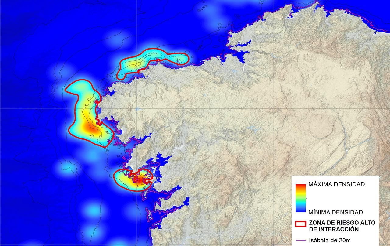 El Gobierno crea el primer mapa que ilustra los ataques de orcas a barcos en Galicia tras registrar el triple de casos en 2025