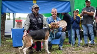 Dandy, el perro que reina en toda la comarca de A Coruña