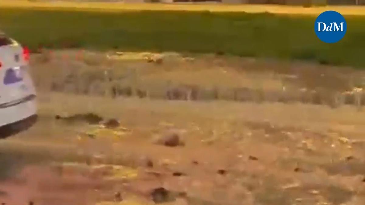 Ekel-Alarm in Portitxol: Nach Rohrbruch liefen Abwässer über die Straße