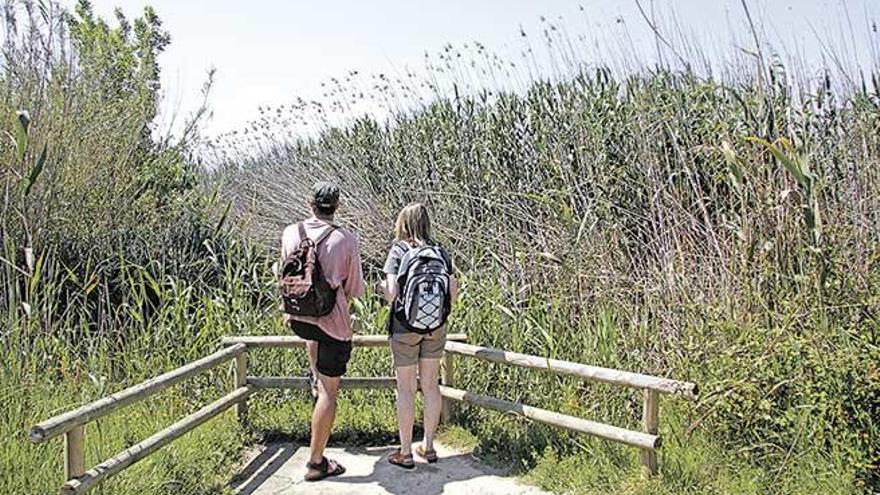 Imagen del parque natural de s´Albufera de Mallorca.