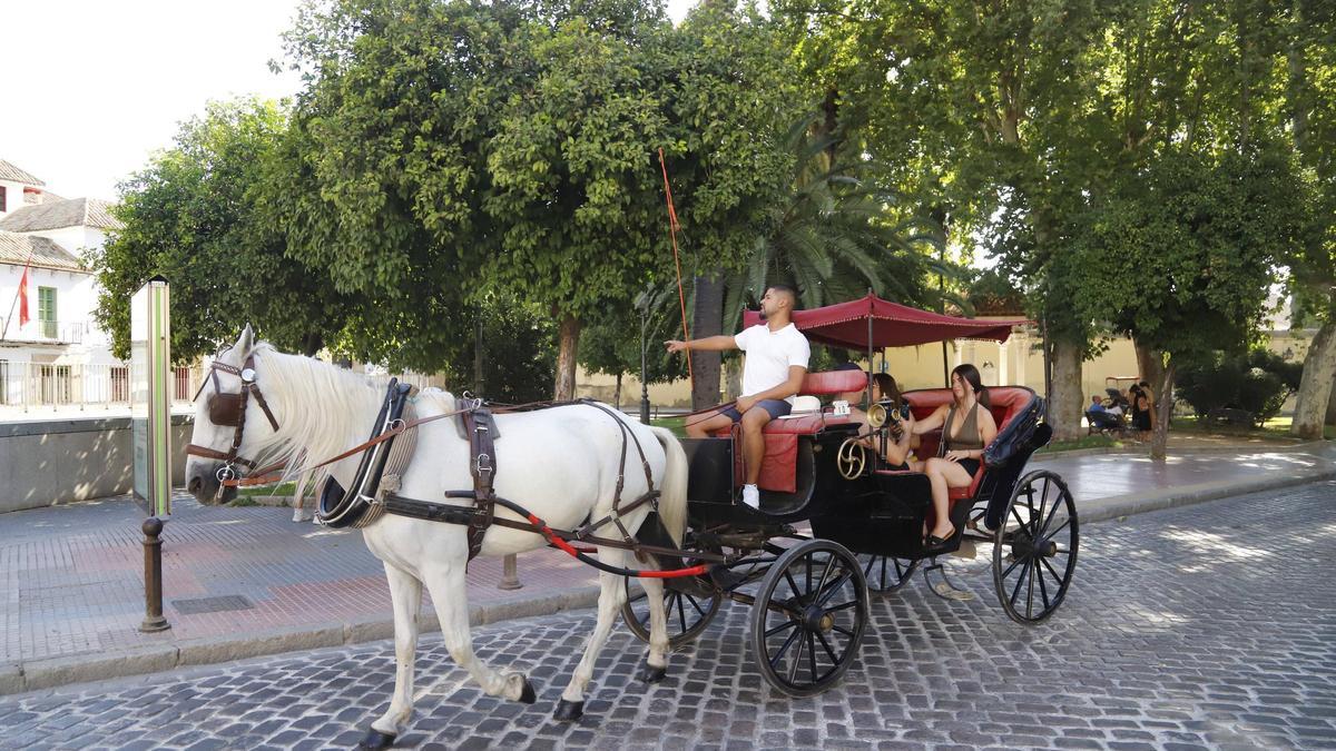 Dos turistas durante un paseo en coche de caballos por la ciudad de Córdoba.