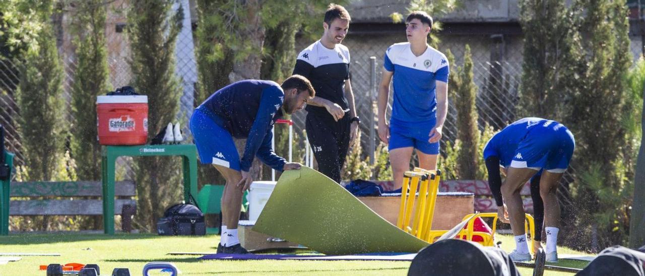 Aspecto que presentaba ayer la hierba recién cortada a ras de Fontcalent antes del entreno.  | ALEX DOMÍNGUEZ