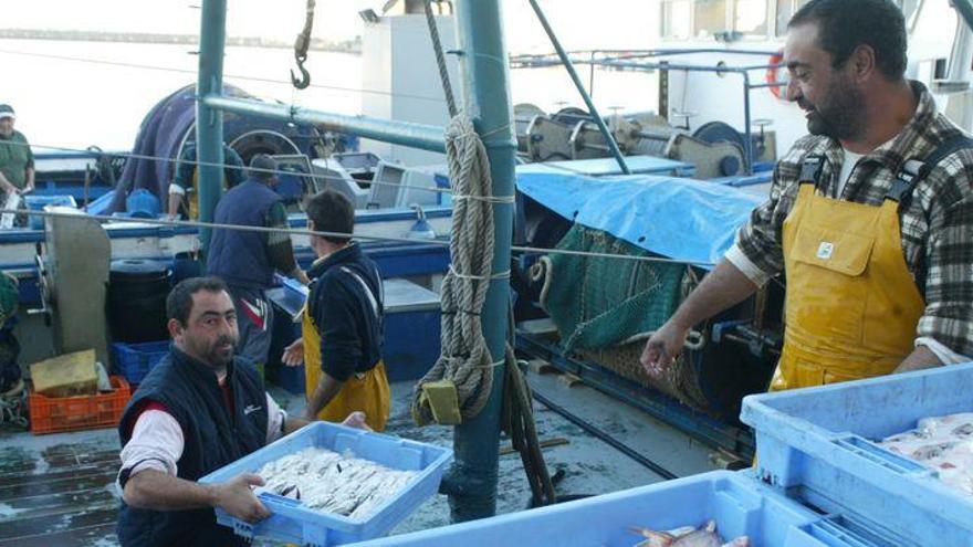 La pesca recoge las redes en Castellón y 
se ve obligada a recurrir a los ERTE