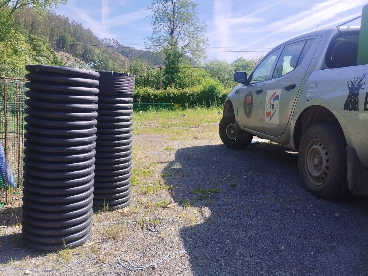 La extracción y traslado en vivo del campanu del Narcea, en imágenes