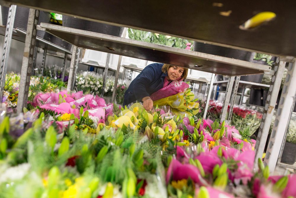 Un millón y medio de flores para el recuerdo