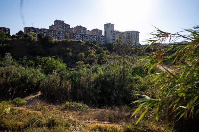 Un nuevo plan urbanístico protegerá ambientalmente la gran riera que conecta la Serralada de Marina con el mar