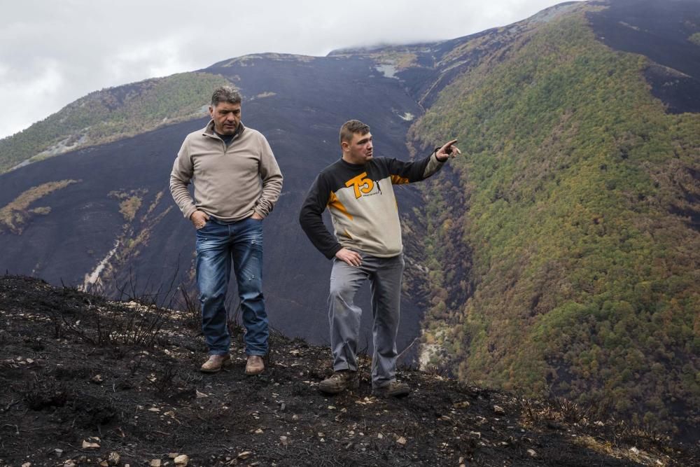 Desolación en el suroccidente asturiano tras los incendios