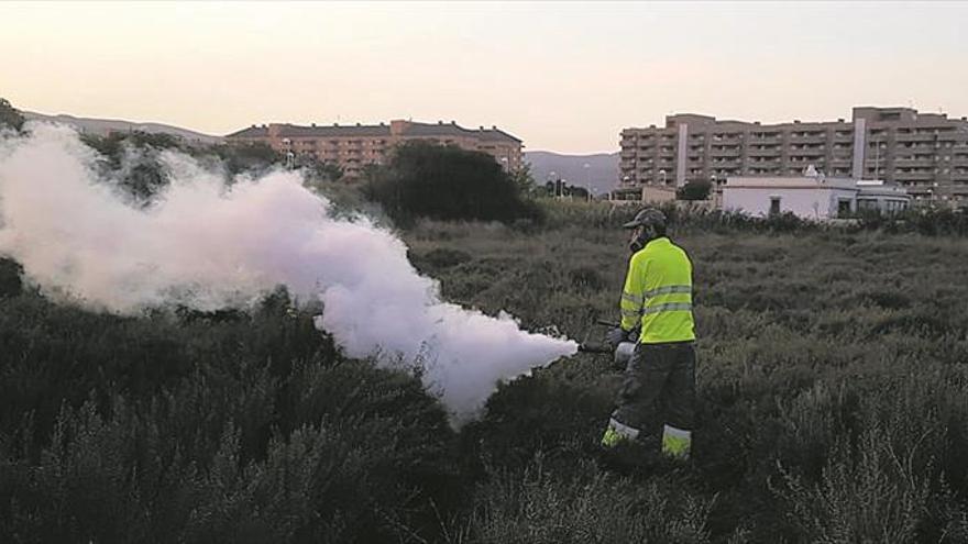 Los expertos plantean brigadas antimosquitos durante todo el año