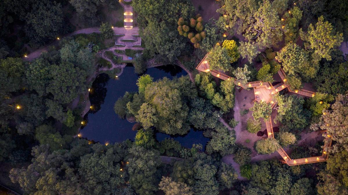 Vista aérea de la pasarela de madera junto a uno de los lagos del parque.