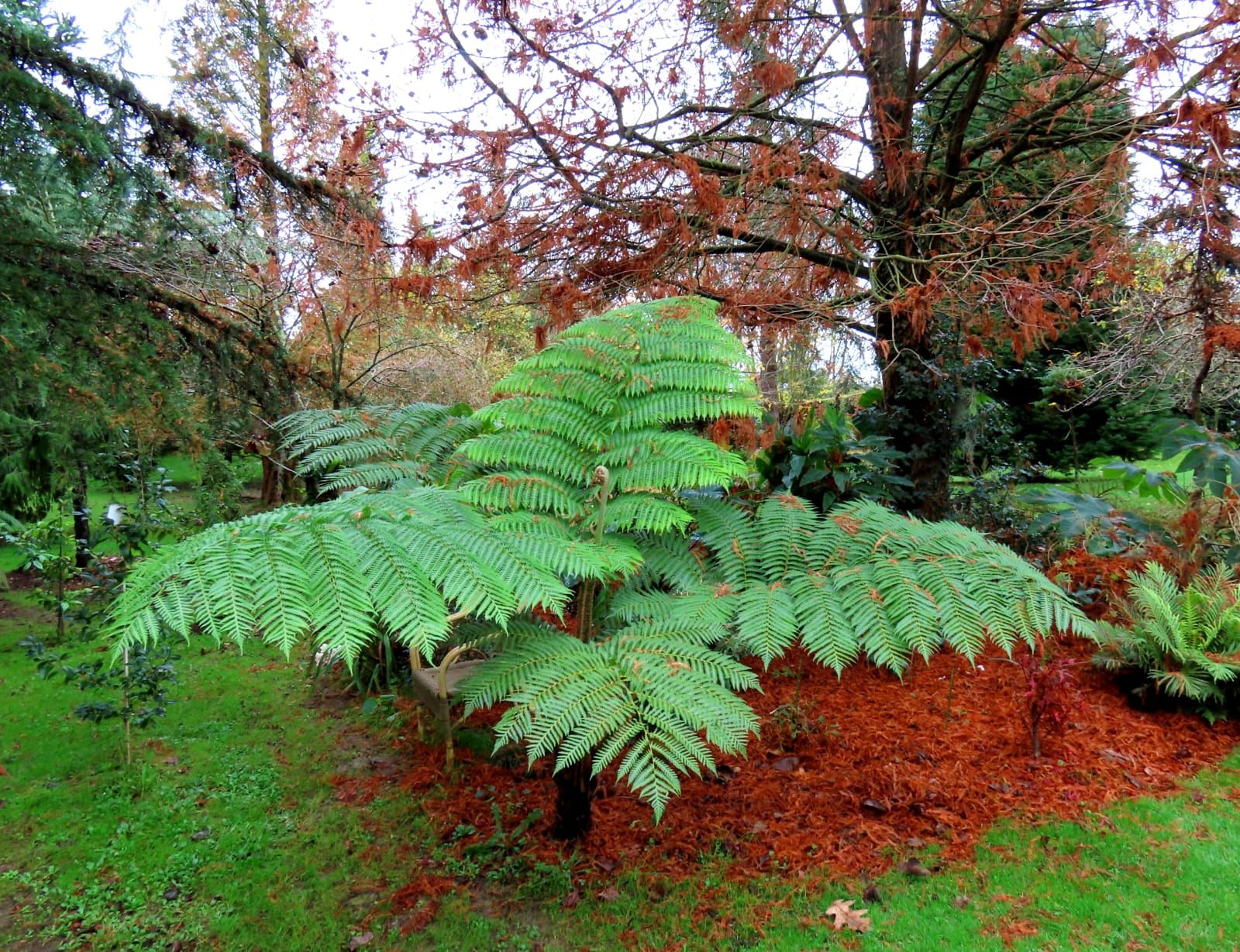 De paseo por el vergel de San Justo, en Villaviciosa