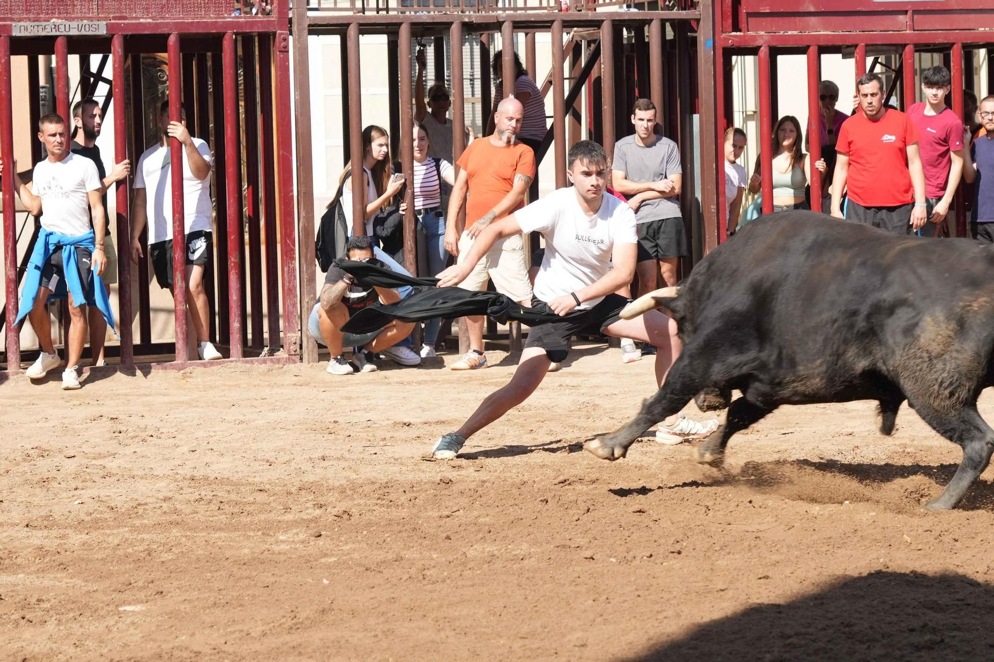 Descafeinada matinal taurina este viernes en Almassora para encarar la recta final de fiestas