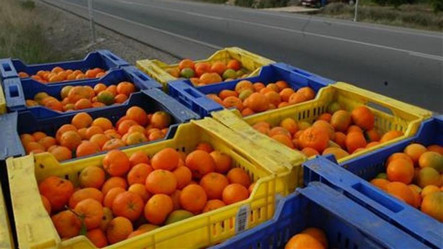 Detenidos por robar 550 cajas de naranjas