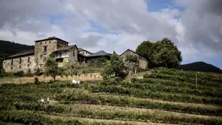 El Suroccidente más vaciado