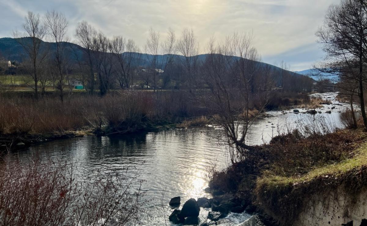 El Segre en el tram par l'Urgellet