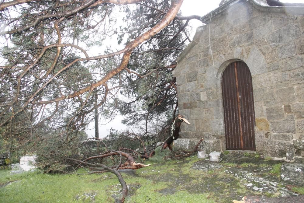 Efectos del temporal en O Morrazo