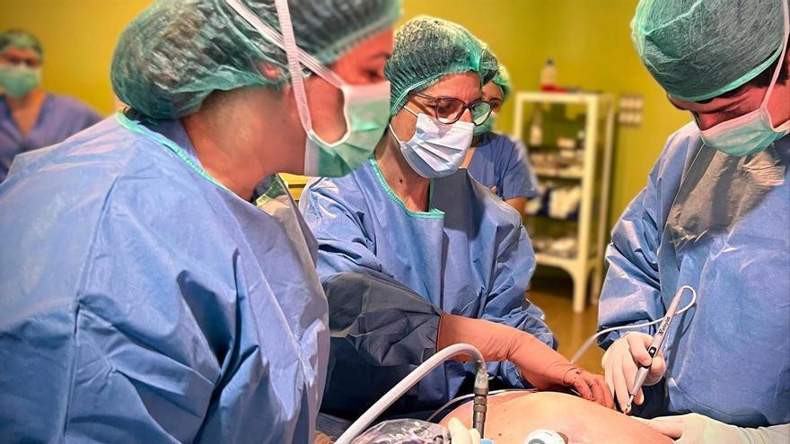 El CCMIJU: talento, ciencia y cooperación internacional proyectados desde la provincia de Cáceres