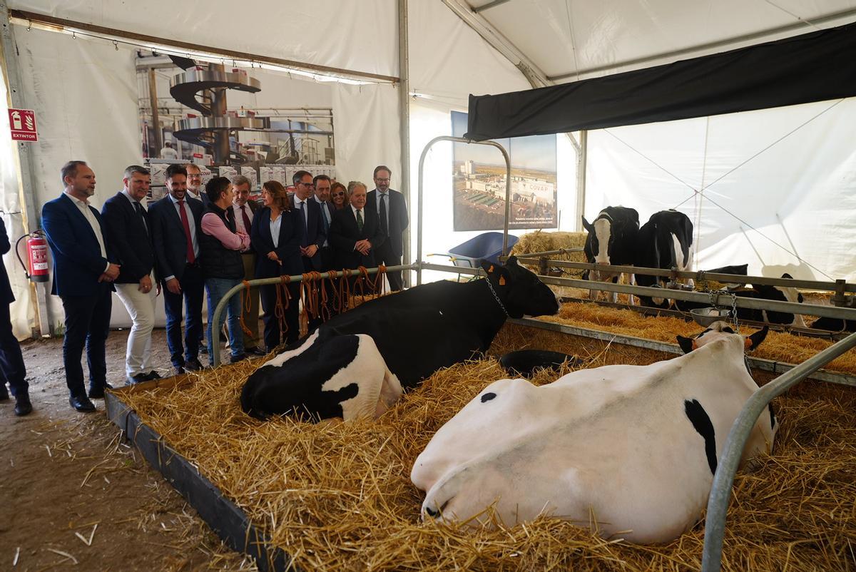 Autoridades recorren las instalaciones de la Feria Agroganadera de Los Pedroches.