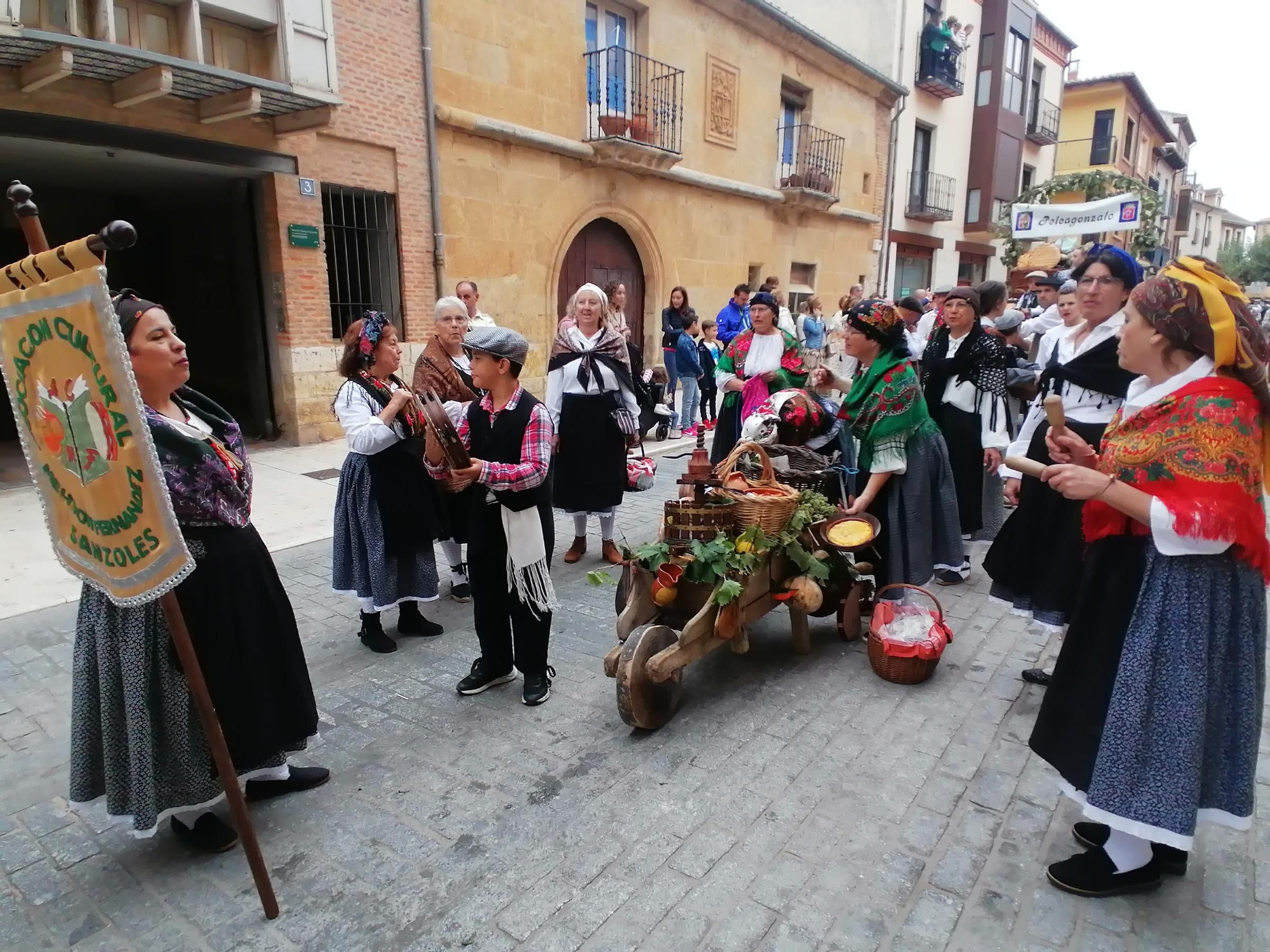 GALERÍA | Toro recrea la vendimia tradicional en el desfile de carros