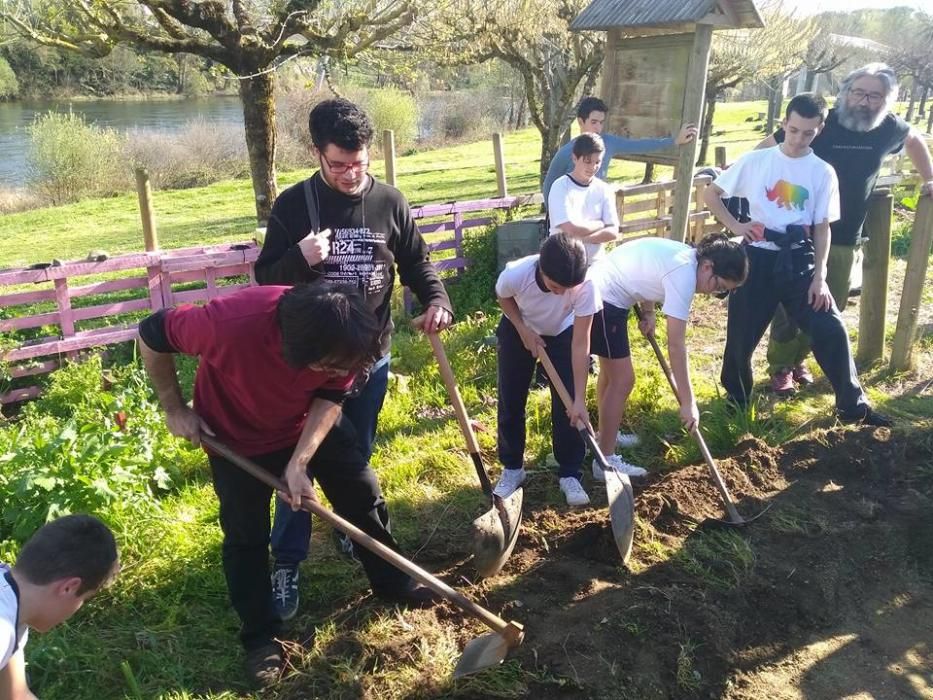 Ecovigilantes del Miño en Ourense