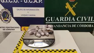 Detenida una joven que intentaba introducir 12 bellotas de hachís en la prisión de Córdoba