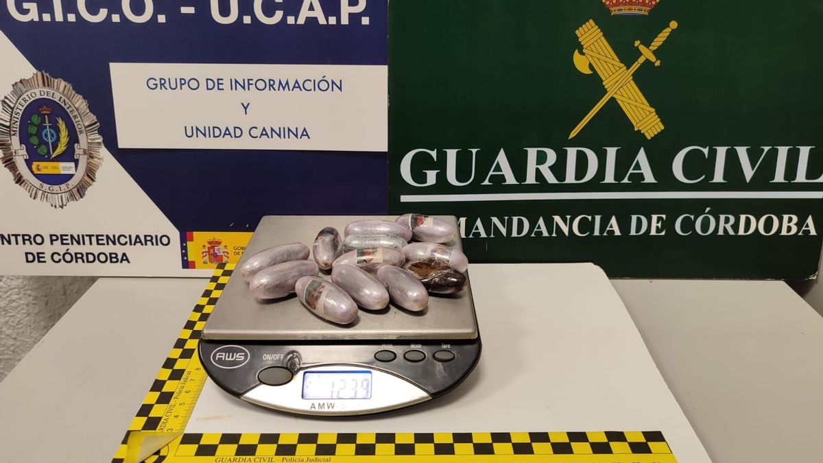 Las bellotas intervenidas a una joven en la prisión de Córdoba.