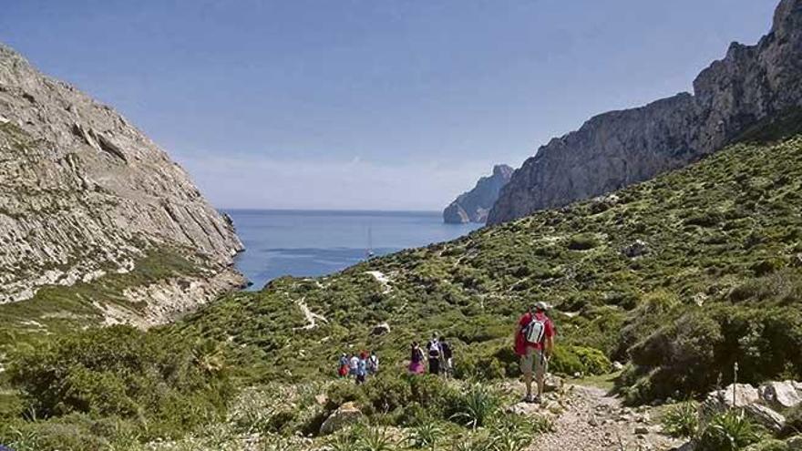 El camino de Cala Bóquer, en el Port de Pollença, es muy utilizado por residentes y turistas por la belleza del entorno.