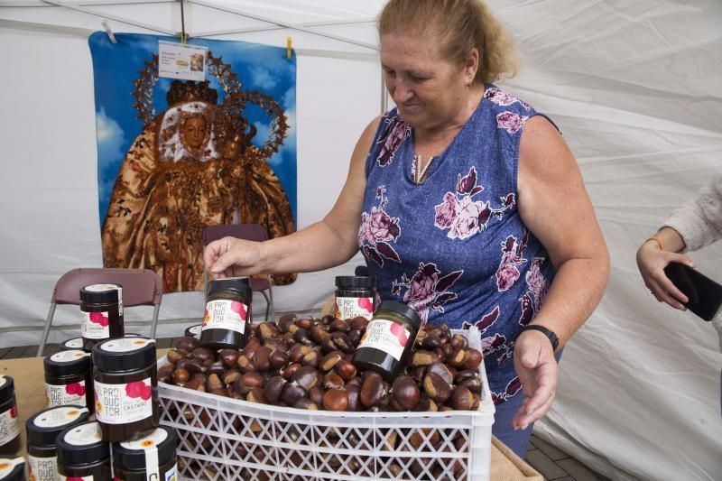 XIV Feria de la Miel en El Sauzal (Tenerife)|23-11-2019|Fotógrafo: Delia Padrón