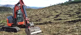 Amoedo y Cepeda recuperan sus montes quemados en 2017 con 100.000 árboles
