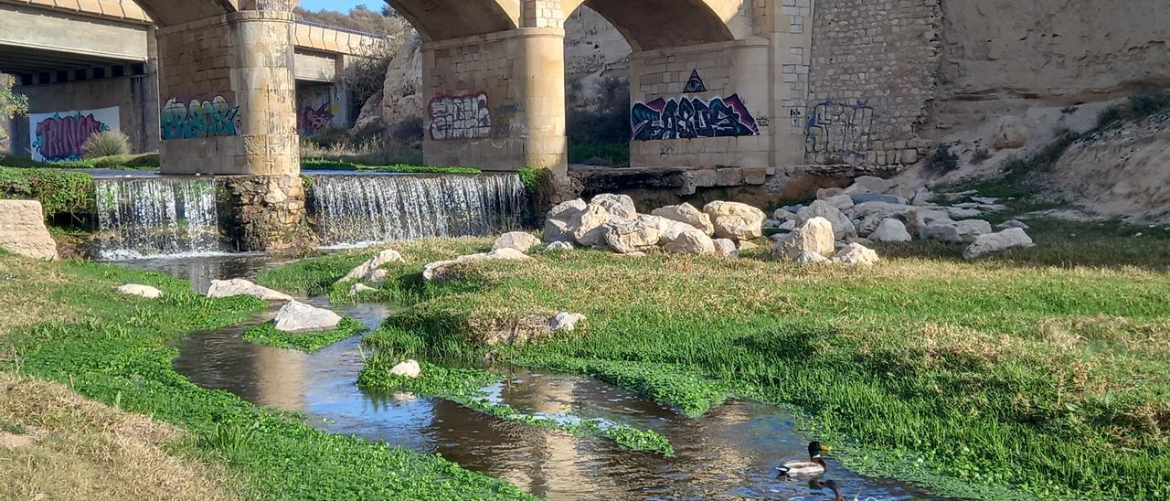 El humedal del río Seco-Montnegre, a 850 metros del punto donde se vertería aguas arriba la salmuera