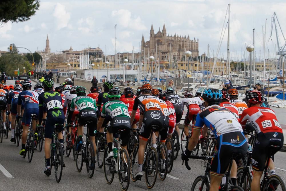 Knapper geht es eigentlich nicht: Mit einem Sieg im Fotofinish hat sich Daniel McClay vom Rennstall Fortuneo VitalConcept am Sonntagnachmittag (29.1.) die Trophäe für die letzte Etappe der Playa de Palma Challenge der Radprofis auf Mallorca gesichert.