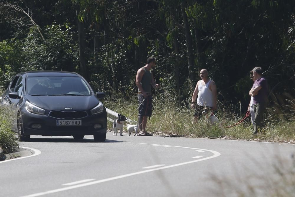 Concentración de los vecinos de Bayas, en Castrillón, contra la presencia de perros en la playa