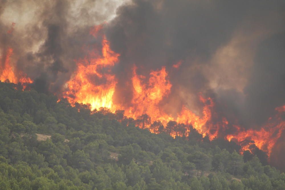 Así fue el incendio de Torremanzanas (agosto,2012)