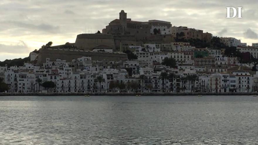 Delfines en el puerto de Ibiza