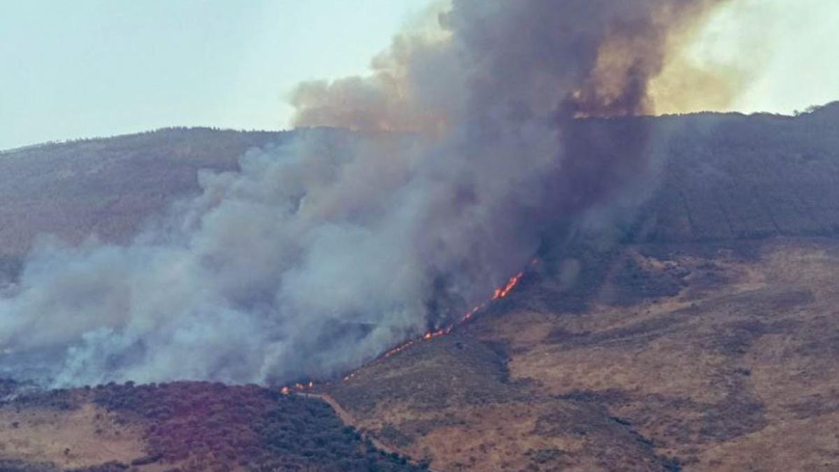 Imagen del incendio de Casas de Miravete.