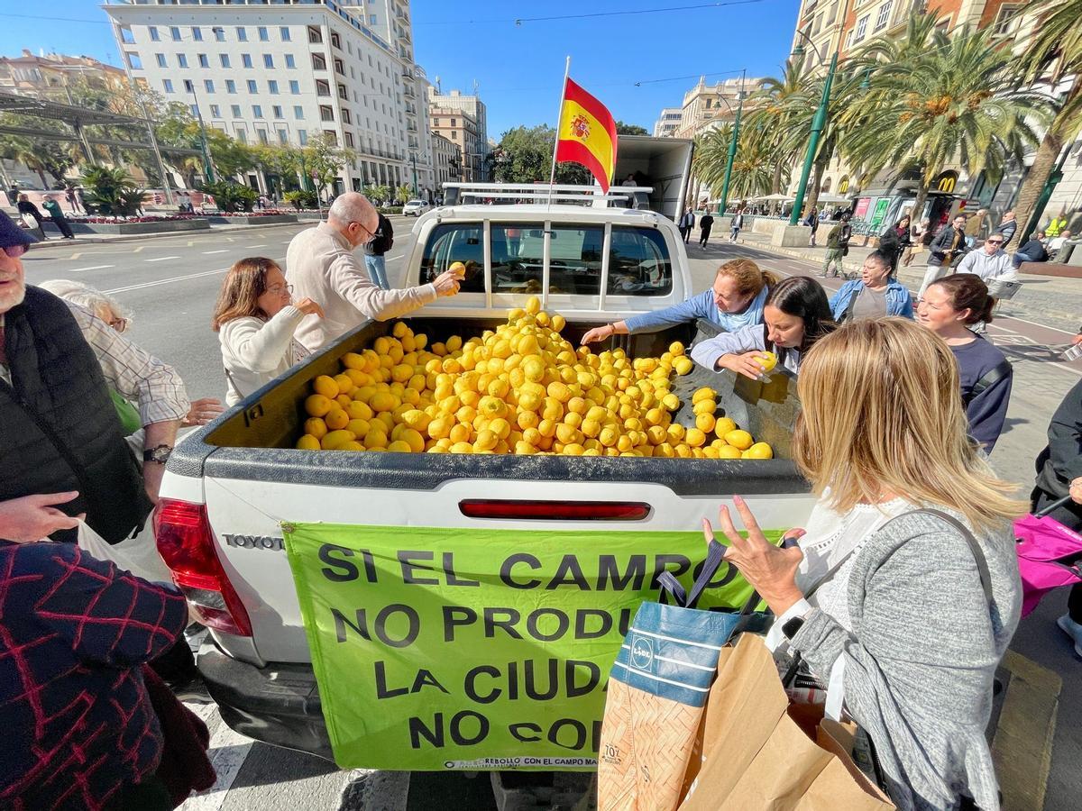 Los agricultores han repartido limones en el Centro de la ciudad.