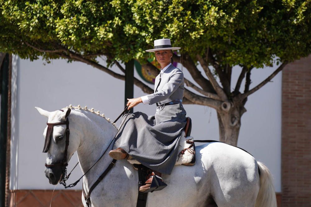 Primeros caballos en el Cortijo de Torres