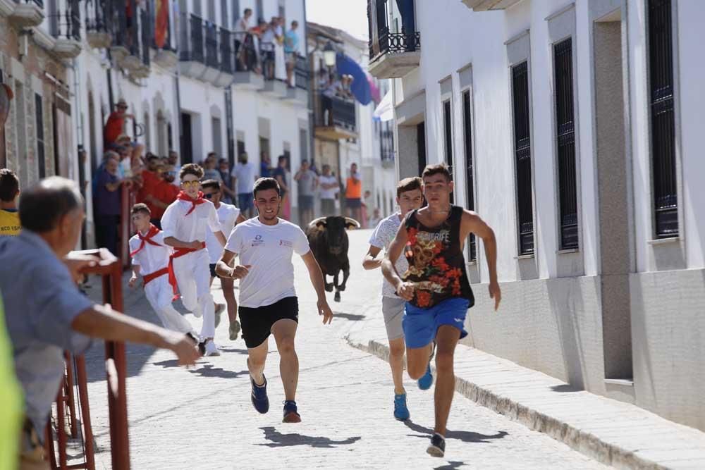 Encierros de Villanueva del Duque