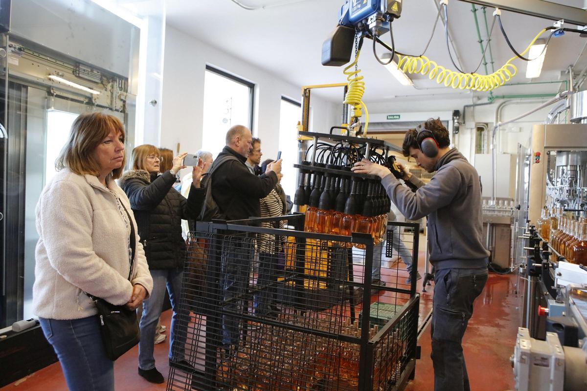 So wird der Wein in der Bodega hergestellt.