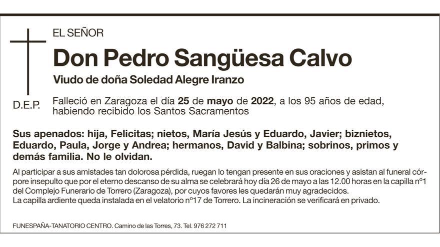 Pedro Sangüesa Calvo