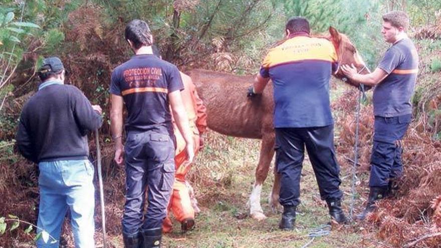 El animal fue localizado por los vecinos y Protección Civil en las laderas del monte.