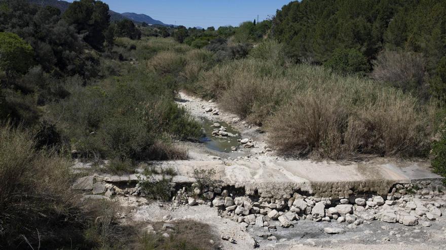 El Canyoles se seca en Canals y el caudal del Albaida cae al nivel más bajo en una década