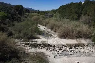 El Canyoles se seca en Canals y el caudal del Albaida cae al nivel más bajo en una década