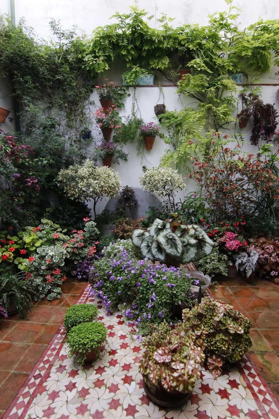 Los patios de Córdoba, San Lorenzo 2